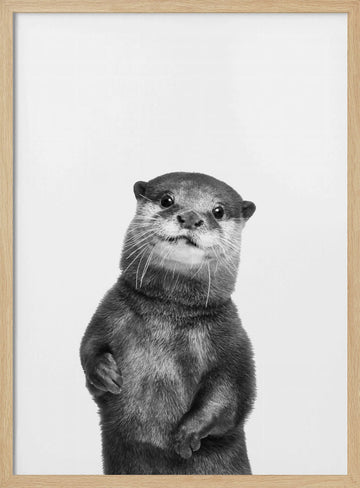 Otter | Poster - Wood Frame Interior
