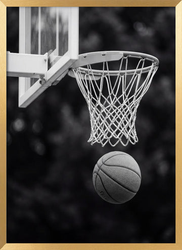 Basketball Hoop Shot | Poster - Gold Frame Interior