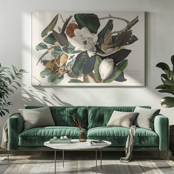 Black Billed Cuckoo From Birds of America (1827) | Poster - Room Interior 1