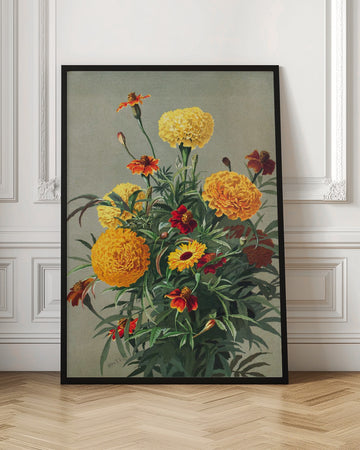 Marigolds | Poster - Room Interior 1