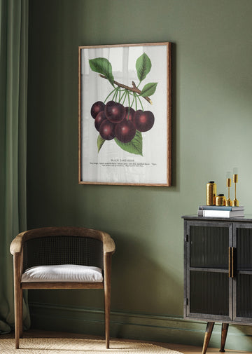 Black Tartarian Cherry Lithograph | Poster - Room Interior 2