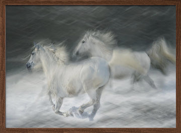 Dreamy White Horses | Poster - Walnut Frame Interior