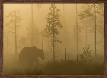Bear in Golden Fog | Poster - Walnut Frame Interior