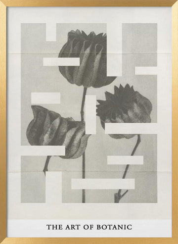 The art of botanic No.1 | Poster - Gold Frame Interior