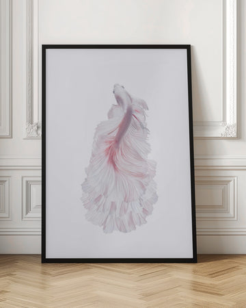 Pink Betta Elegance | Poster - Room Interior 1