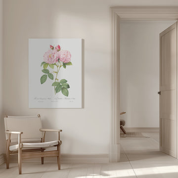 Rosa Bifera Officinalis, Les Roses (1817–1824) | Canvas - Room Interior 1