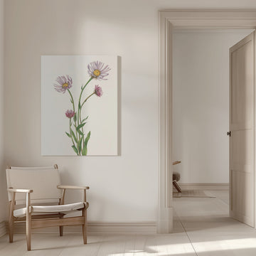 Alaska Fleabane From North American Wildflowers (1925) By Mary Vaux Walcott. | Canvas - Room Interior 1