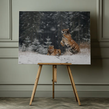 Siberian Winter Tigers | Canvas - Room Interior 1