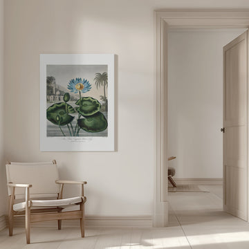 The Blue Egyptian Water-Lily from The Temple of Flora (1807) | Canvas - Room Interior 1