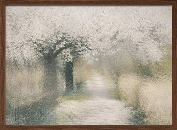 Cherry blossom | Poster - Walnut Frame Interior