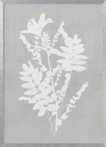 Botanical Silhouette Study | Poster - Silver Frame Interior