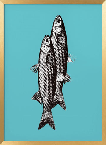 Vintage Fish Duo | Poster - Gold Frame Interior