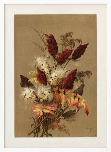 Sumac and Milkweed By Ellen Thayer Fisher | Poster - White Frame Interior