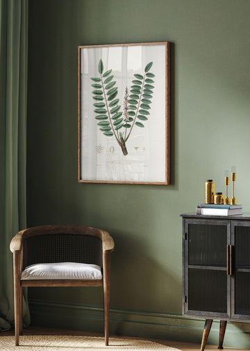 Boswellia Serrata Medical Botany | Poster - Room Interior 2