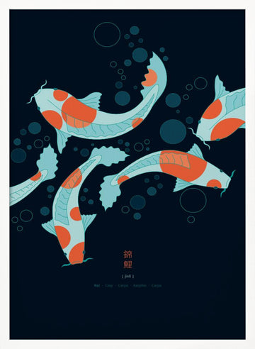 Graceful Koi Swim | Poster - White Frame Interior