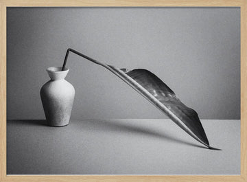 Monochrome Botanical Study | Poster - Wood Frame Interior