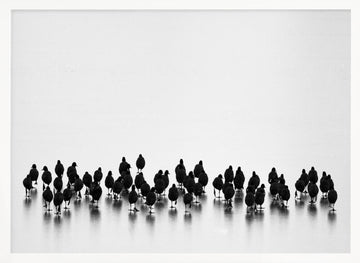 Black Birds On Ice | Poster - White Frame Interior