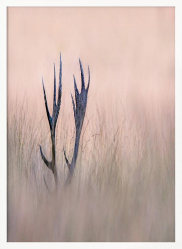 Ethereal Deer Antlers | Poster - White Frame Interior