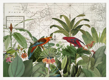 Tropical Map Exploration | Poster - White Frame Interior