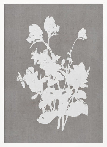 White Floral Silhouette | Poster - White Frame Interior