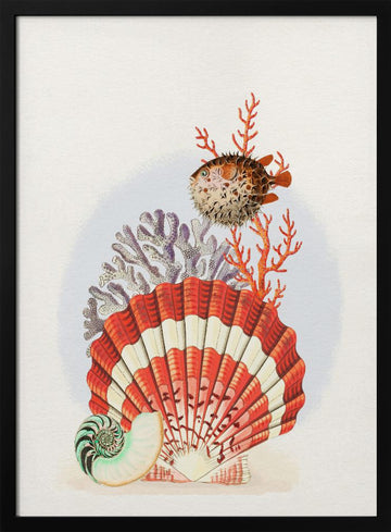 Oceanic Shells and Fish | Poster - Black Metal Frame Interior