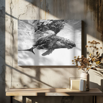 Majestic Humpback Whale | Canvas - Room Interior 2