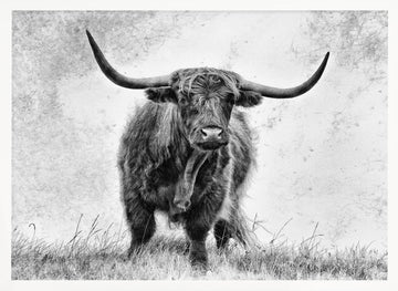 Majestic Highland Cow | Poster - White Frame Interior