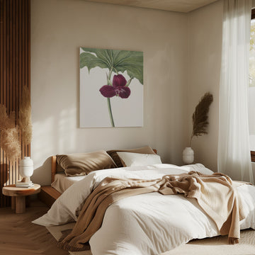 Sweet Trillium | Canvas - Room Interior 2