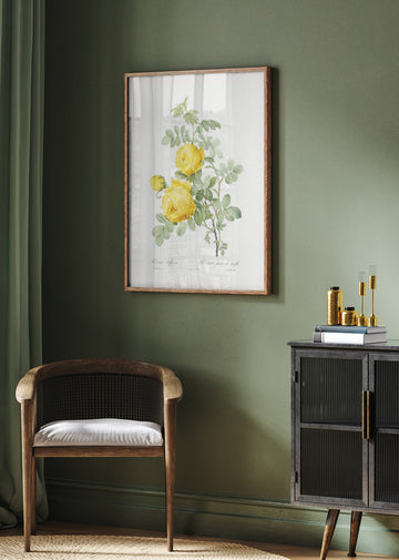 Rosa Hemisphaerica, Les Roses (1817–1824) | Poster - Room Interior 2