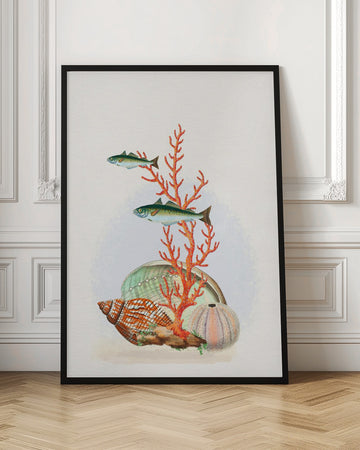 Marine Life Collection | Poster - Room Interior 1