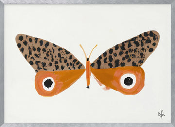 Orange Leopard Butterfly | Poster - Silver Frame Interior
