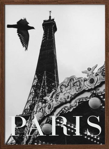 Paris Dove | Poster - Walnut Frame Interior