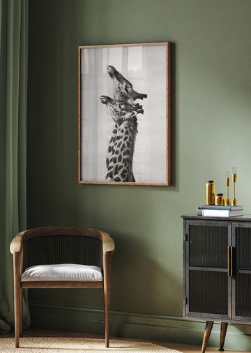 Two Giraffes Gaze | Poster - Room Interior 2