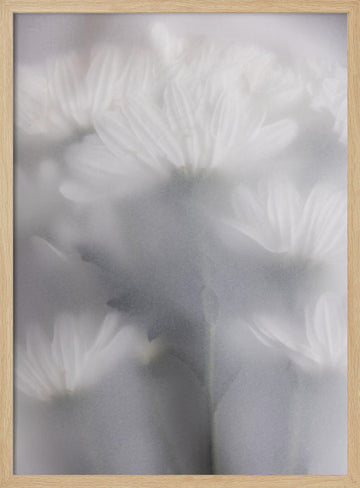 Blurred Flowers 6 | Poster - Wood Frame Interior