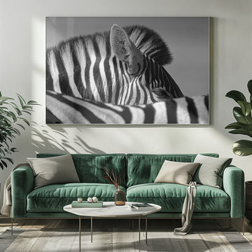 Elegant Zebra Profile | Poster - Room Interior 1