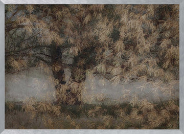 Pine tree | Poster - Silver Frame Interior