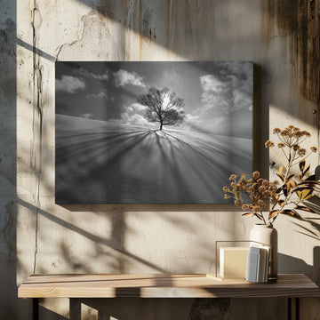 Winter Tree Long Shadows | Canvas - Room Interior 2
