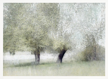 Young green | Poster - White Frame Interior