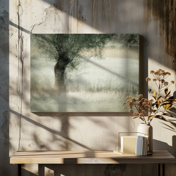 Willow | Canvas - Room Interior 2