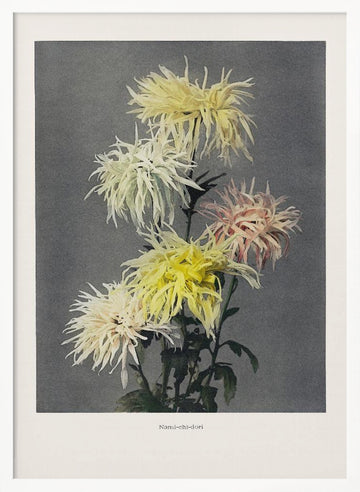 Nami–chi–dori | Poster - White Frame Interior