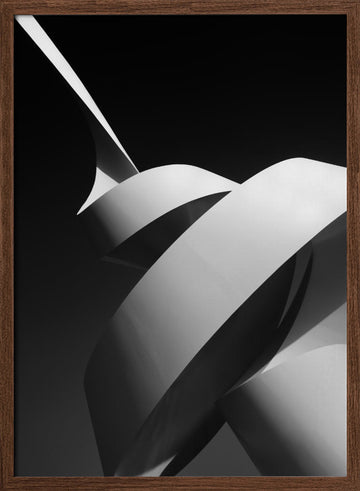 Modern Abstract Curves | Poster - Walnut Frame Interior