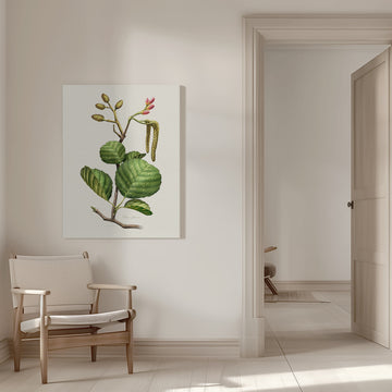 Alder Botanical Study | Canvas - Room Interior 1