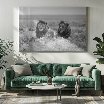 Two Majestic Lions | Poster - Room Interior 1