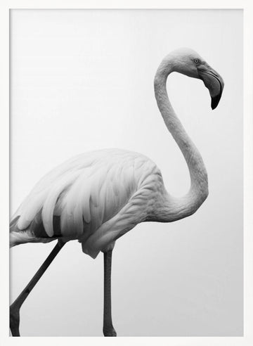 Graceful Silhouette | Poster - White Frame Interior