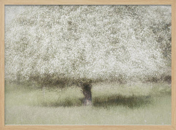 In the backyard | Poster - Wood Frame Interior