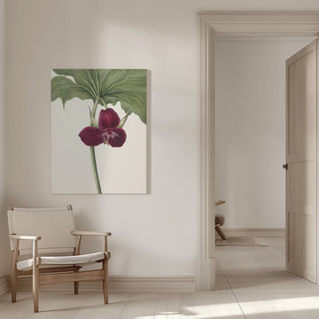 Sweet Trillium | Canvas - Room Interior 1