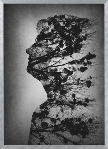 Mind of Nature | Poster - Silver Frame Interior