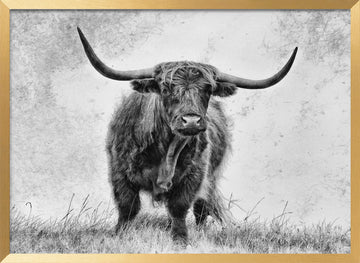 Majestic Highland Cow | Poster - Gold Frame Interior
