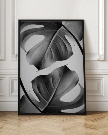 Tropical Monstera Forms | Poster - Room Interior 1