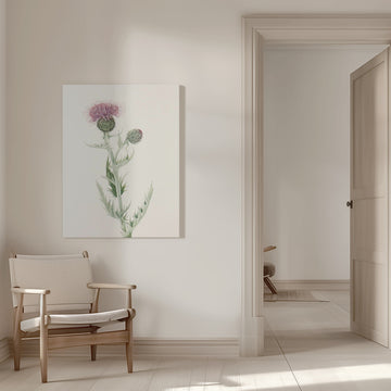Prairie Thistle From North American Wildflowers (1925) By Mary Vaux Walcott. | Canvas - Room Interior 1
